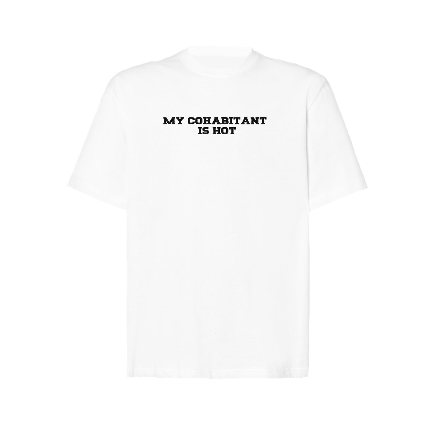 Koszulka oversize z haftem „My Cohabitant Is Hot"